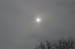 tapszuret19_62_20191012